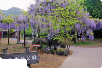 藤公園